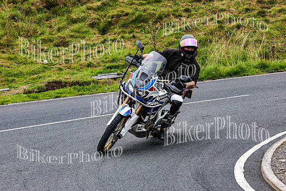 0W9A1306