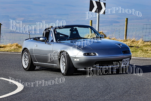 250A0705 (2)