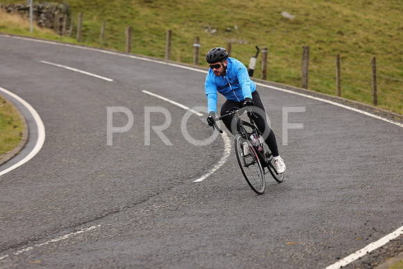 Steve - 3N3A9999 (1135)