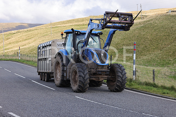 Steve - 3N3A6320 (244)