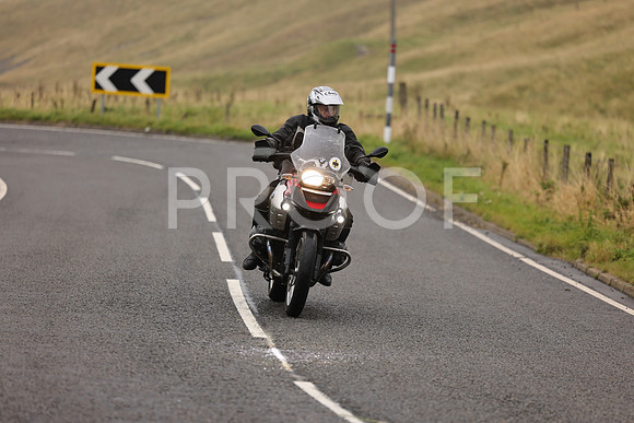 Steve - 3N3A9999 (1226)