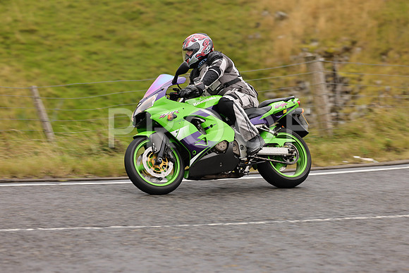 Steve - 3N3A9999 (1066)