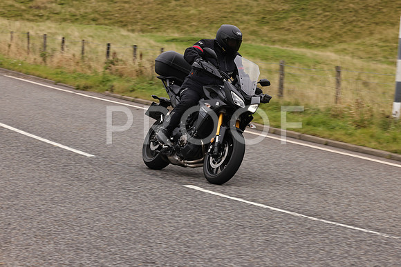 Steve - 3N3A9999 (3139)