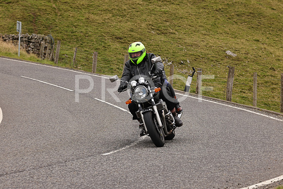 Steve - 3N3A9999 (4806)