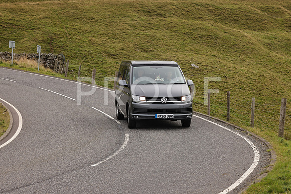 Steve - 3N3A9999 (2533)