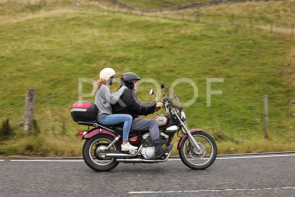 Steve - 3N3A9999 (1219)