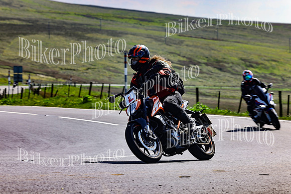 Daves (105)