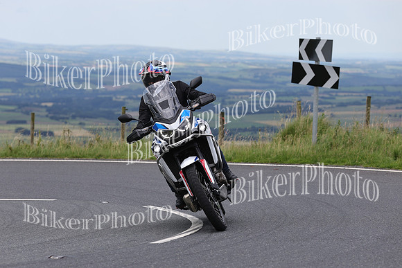 0W9A7682 (2)