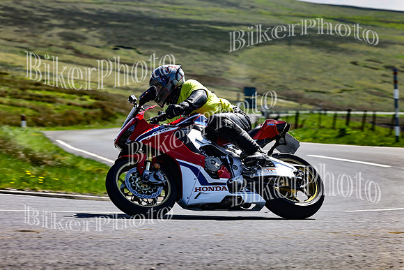 Daves (75)