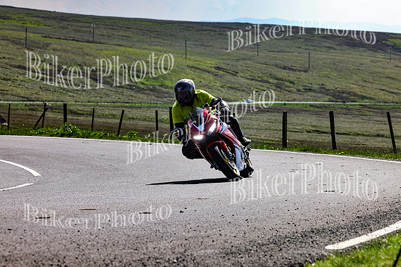 Daves (82)
